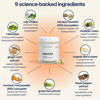 + elevate Premium Nootropic